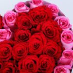 red-pink-roses-heart-box-red-ribbon_03