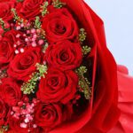 red-roses-warm-embrace-red-wrap_03