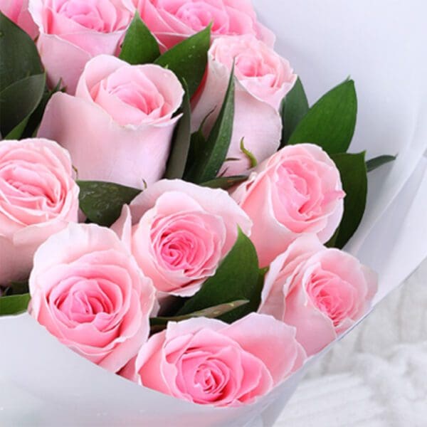 12-light-pink-roses-powder-kiss-vday_04