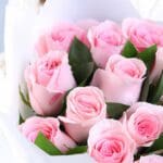 12-light-pink-roses-powder-kiss-vday_05