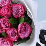 12-pink-roses-blush-dozen-vday_04