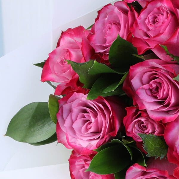 12-pink-roses-blush-dozen-vday_05