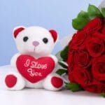 15-roses-romantic-gift-combo_2026_02