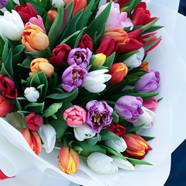 50 tulip-palette-bouquet_02