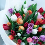 50 tulip-palette-bouquet_03