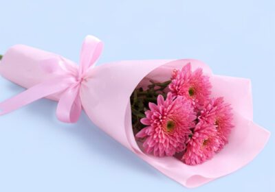 Single purple chrysanthemum bouquet wrapped elegantly for gifting, symbolizing admiration, respect, and simple elegance