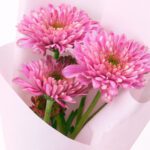 Single-Chrysanthemum-Bouquet-Purple_04