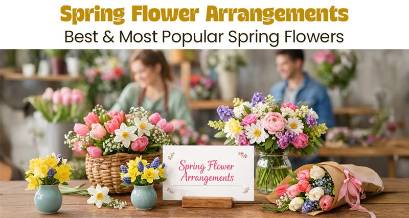 Spring flower arrangements featuring popular blooms like tulips, daffodils, lilies, and gerberas in a bright, elegant display with fresh seasonal colors on a wooden table