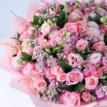 blush-bloom-collection_04