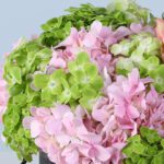 classic-luxe-floral-box_02