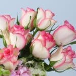 classic-luxe-floral-box_03