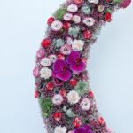 crescent-bloom-harmony_05