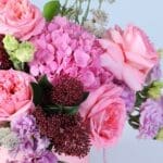 elegant-pastel-blooms-with-teddy_03