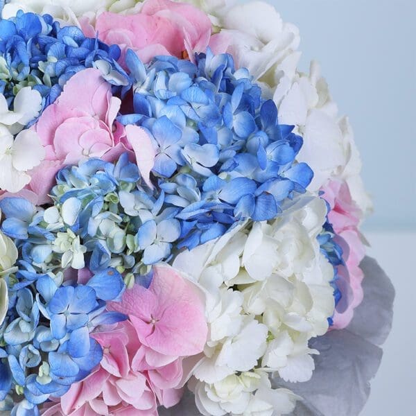 hydrangea-bliss-arrangement_04