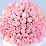 light-pink-roses-just-for-you-flower-box_05