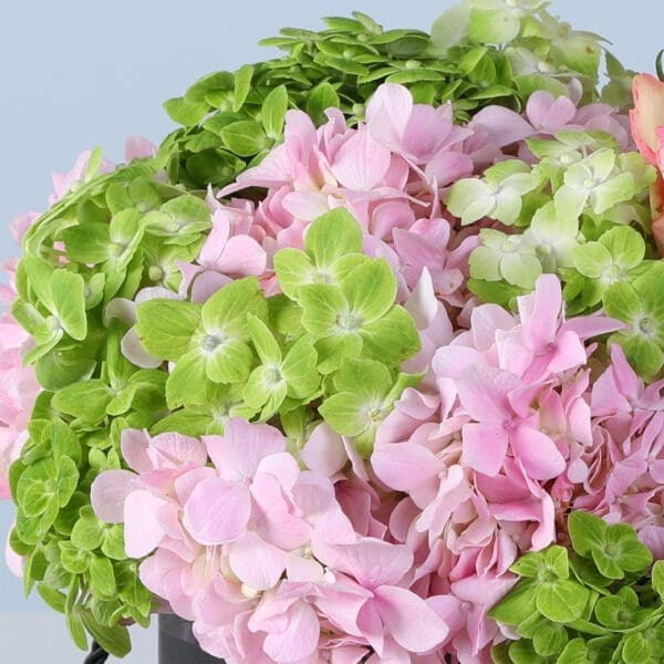 modern-pastel-bloom-ferrero-24-pcs_02