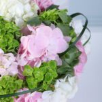 pastel-hydrangea-elegance-box_03