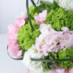 pastel-hydrangea-elegance-box_04