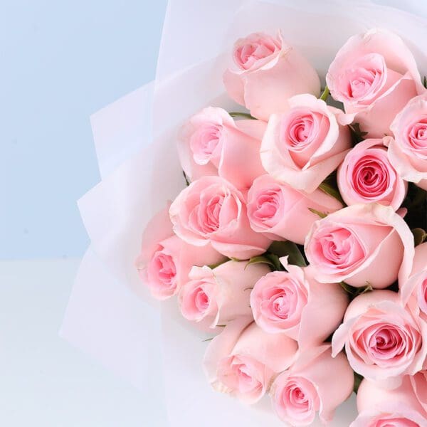 pink-elegance-rose-ferrero-combo_03