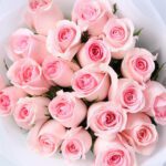 pink-elegance-rose-ferrero-combo_05