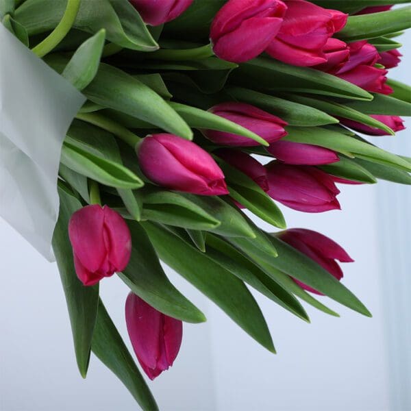 pink-tulip-ferrero-gift-combo_06
