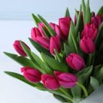 pink-tulip-luxury-bouquet_04
