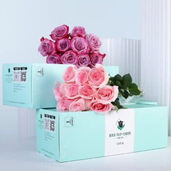 A floral arrangement of 10 deep purple roses and 10 pink roses placed together in a vase, creating a elegant two-tone rose bouquet.