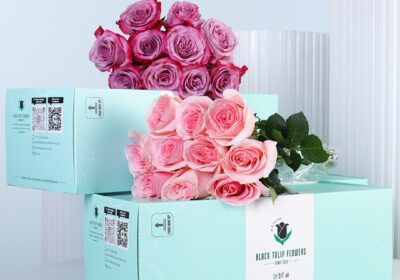 A floral arrangement of 10 deep purple roses and 10 pink roses placed together in a vase, creating a elegant two-tone rose bouquet.