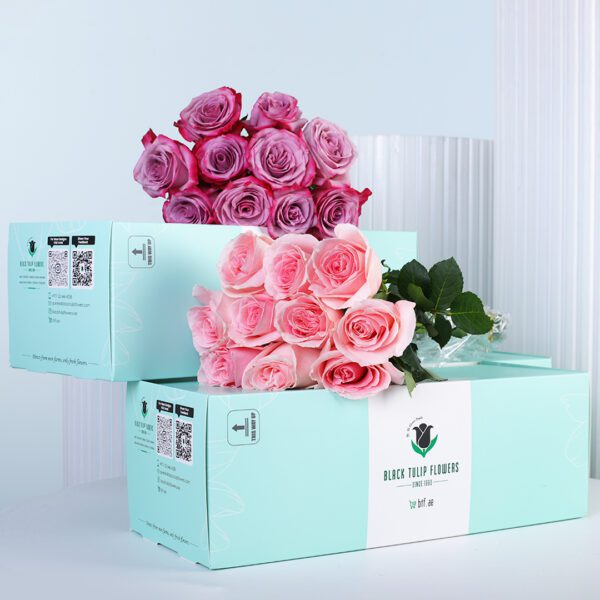 A floral arrangement of 10 deep purple roses and 10 pink roses placed together in a vase, creating a elegant two-tone rose bouquet.