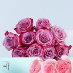 purple-pink-rose-duo-bunch-20-stems_04