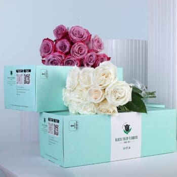 A graceful mix of purple and white roses, thoughtfully arranged and paired with a free glass vase.