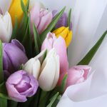 rainbow-bliss-tulip-bouquet_04