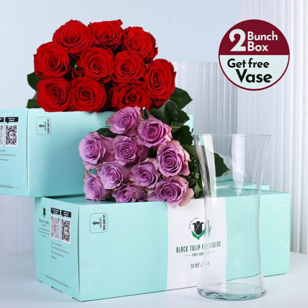 royal-duo-rose-elegance Red and purple roses arranged in a cardboard box with a free glass vase, showcasing a fresh and elegant floral gift set.