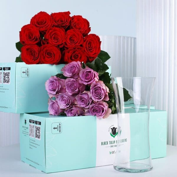 royal-duo-rose-elegance_02 Red and purple roses arranged in a cardboard box with a free glass vase, showcasing a fresh and elegant floral gift set.