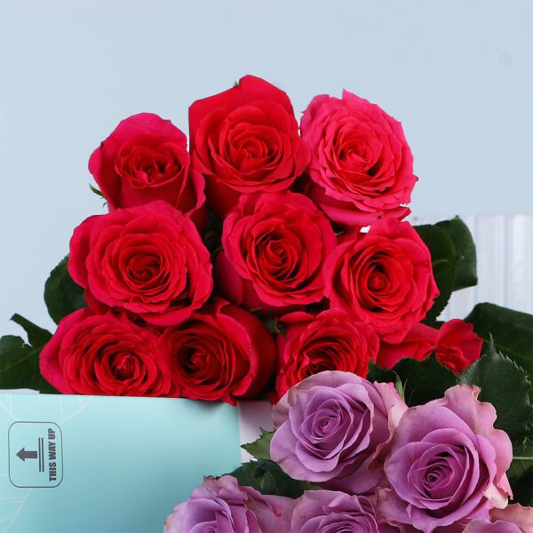 royal-duo-rose-elegance_04