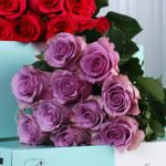 royal-duo-rose-elegance_05
