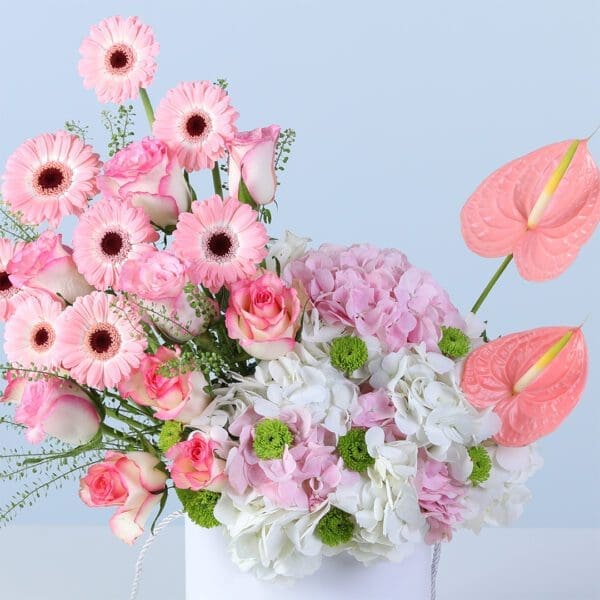 serene-petal-harmony-box_02