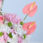 serene-petal-harmony-box_04