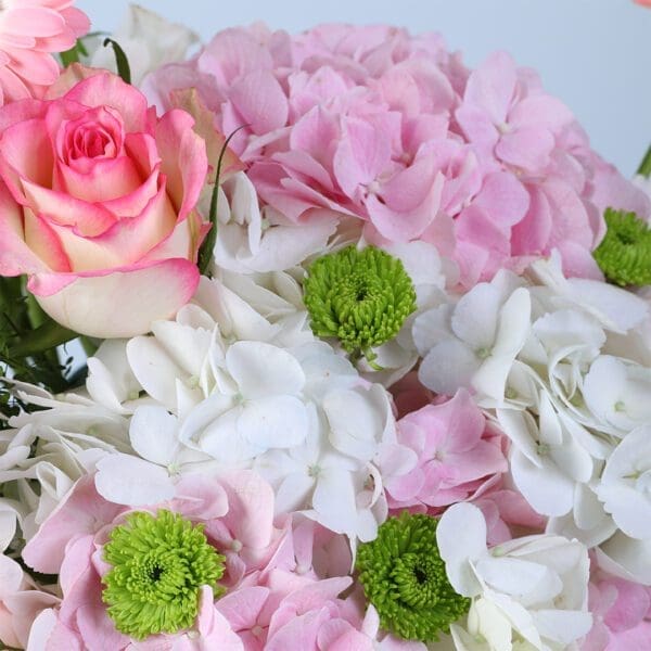 serene-petal-harmony-box_05