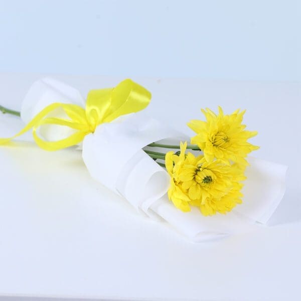 single-chrysanthemum-bouquet-yellow Vibrant yellow chrysanthemum wrapped beautifully for gifting, perfect for sharing happiness and positive energy.