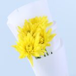 single-chrysanthemum-bouquet-yellow_03