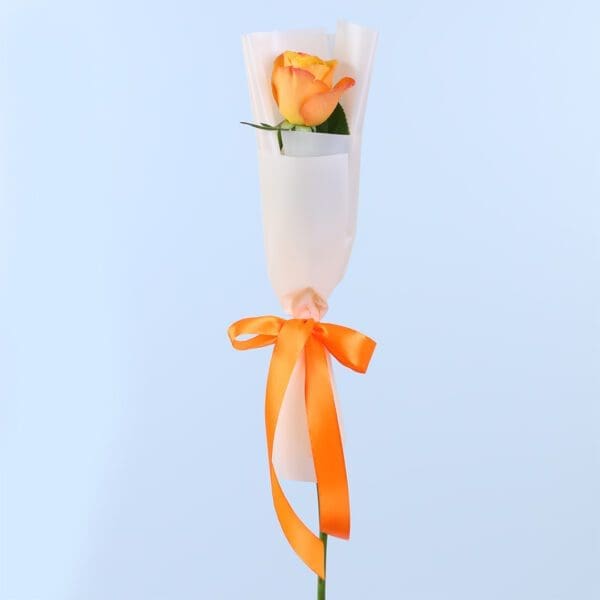single-golden-glow-orange-rose-single-stem_02