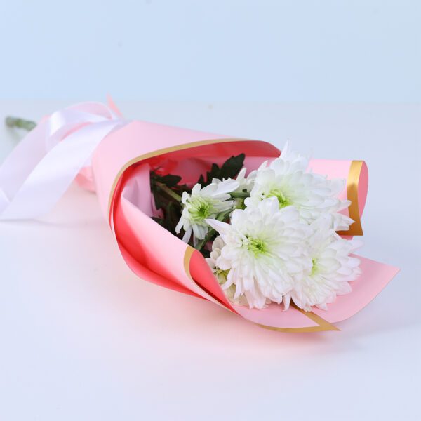 Hand bouquet of white chrysanthemums elegantly wrapped for a pure and graceful flower gift