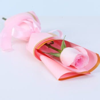Beautiful single rose in light pink shade wrapped for special occasions