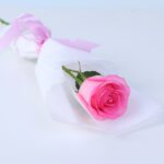 single-pink-revival-rose-bouquet_2026
