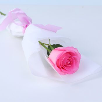 Single Enchanted Pink Rose bouquet featuring a fresh pink Revival rose wrapped elegantly for gifting and special occasions