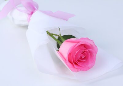 Single Enchanted Pink Rose bouquet featuring a fresh pink Revival rose wrapped elegantly for gifting and special occasions
