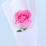 single-pink-revival-rose-bouquet_2026_04