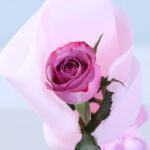 single-premium-purple-rose-single-stem_03