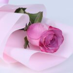 single-premium-purple-rose-single-stem_04
